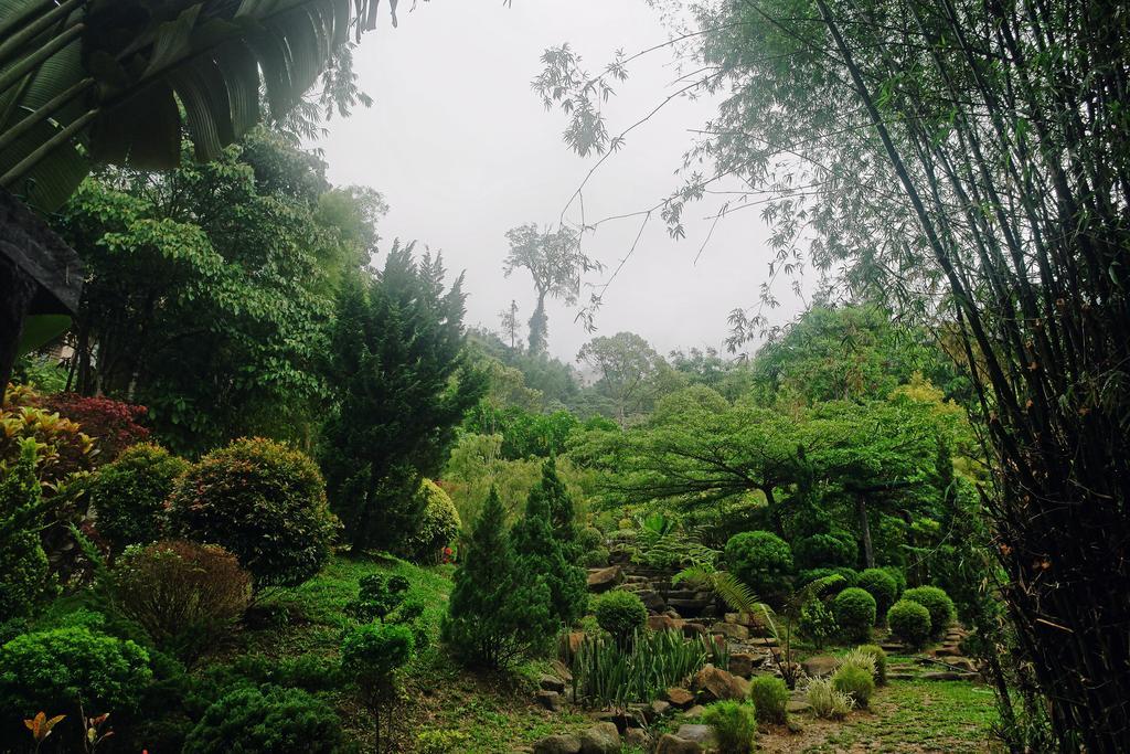 Harmony Valley Retreat Bukit Tinggi Εξωτερικό φωτογραφία
