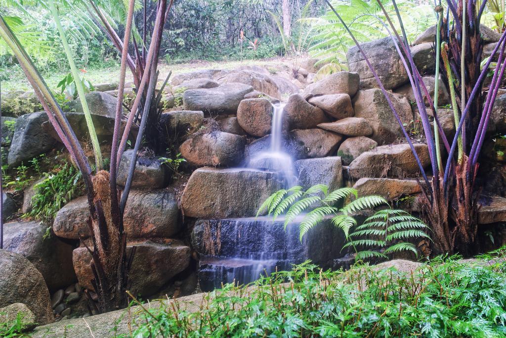 Harmony Valley Retreat Bukit Tinggi Εξωτερικό φωτογραφία