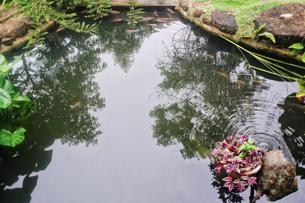 Harmony Valley Retreat Bukit Tinggi Εξωτερικό φωτογραφία